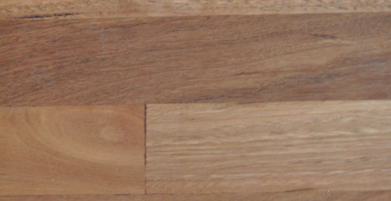 BUDGET SPOTTED GUM